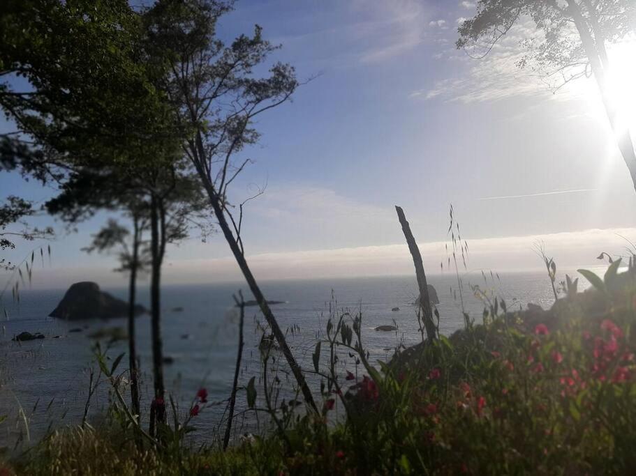 Ocean View Village Condo With Trails To Beaches 트리니다드 외부 사진